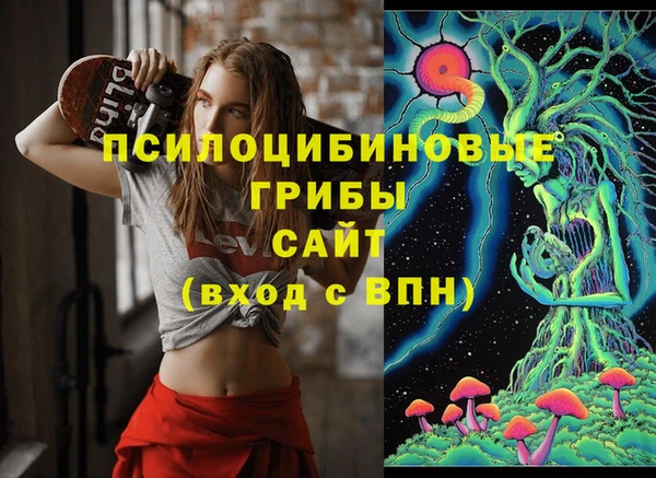 соль курить ск Алзамай
