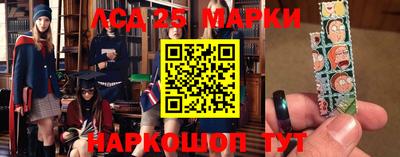 кокс Донской