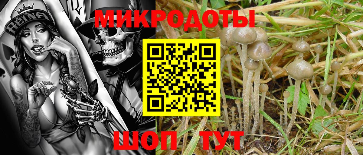 Псилоцибиновые грибы MAGIC MUSHROOMS Урюпинск